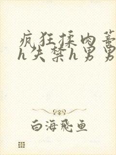 疯狂揉肉蒂高潮h失禁h男男