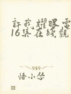 许我耀眼电视剧16集在线观看免费封面