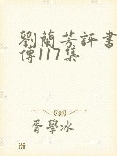 刘兰芳评书岳飞传117集