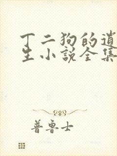 丁二狗的逍遥人生小说全集txt