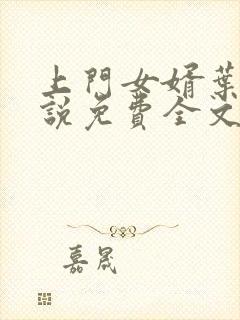 上门女婿叶辰小说免费全文阅读