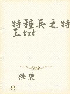 特种兵之特战兵王txt封面