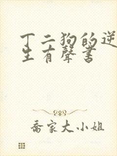 丁二狗的逆袭人生有声书