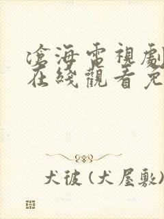 沧海电视剧全集在线观看免费