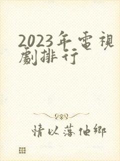 2023年电视剧排行