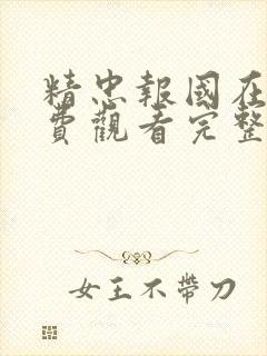 精忠报国在线免费观看完整版国语封面