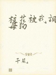 校花被我调教成母狗