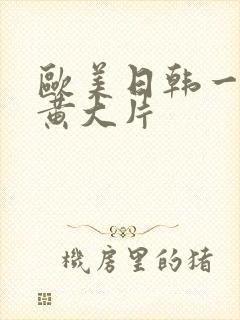 欧美日韩一级特黄大片