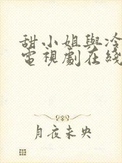 甜小姐与冷先生电视剧在线免费观看