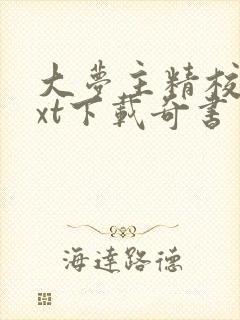 大梦主精校版txt下载奇书网封面