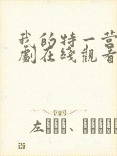 我的特一营电视剧在线观看