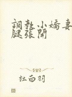 调教小娇妻h把腿张开