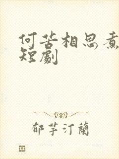 何苦相思煮余年短剧封面