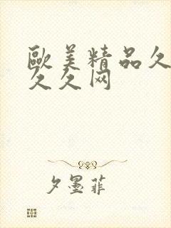 欧美精品久久久久久网