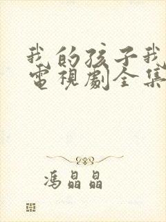 我的孩子我的家电视剧全集免费观看封面