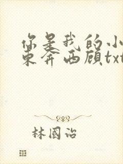 你是我的小确幸东奔西顾txt