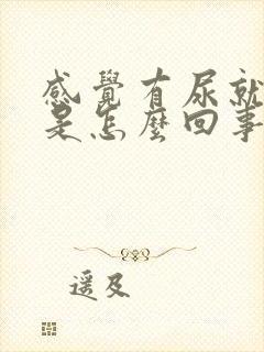 感觉有尿就漏尿是怎么回事