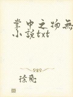 掌中之物无删减小说txt