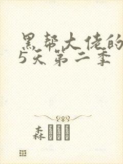 黑帮大佬的365天第二季