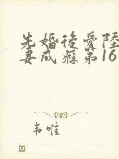 先婚后爱陆队宠妻成瘾第16章更新时间封面