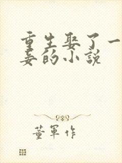 重生娶了一妻九妾的小说封面