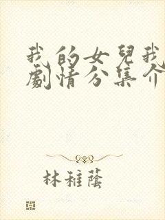 我的女儿我的泪剧情分集介绍封面