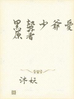 黑帮少爷爱上我原著封面