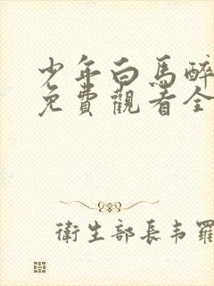 少年白马醉春风免费观看全集40集封面