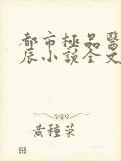 都市极品医神叶辰小说全文阅读封面