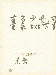 有多少爱,可以重来 txt下载