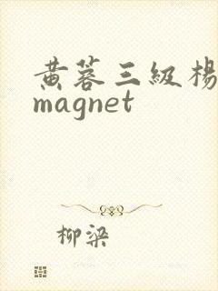黄蓉三级杨贵妃magnet封面