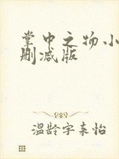 掌中之物小说未删减版