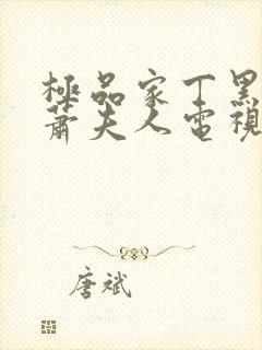 极品家丁黑昆仑萧夫人电视剧封面