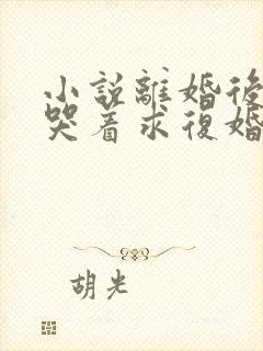 小说离婚后前夫哭着求复婚在线观看