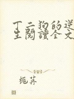 丁二狗的逆袭人生阅读全文全文