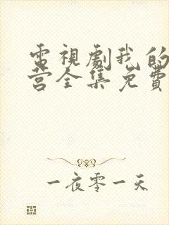 电视剧我的特一营全集免费观看