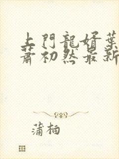 上门龙婿叶辰,萧初然最新版封面