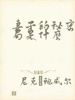 妻子的秘密大结局是什么