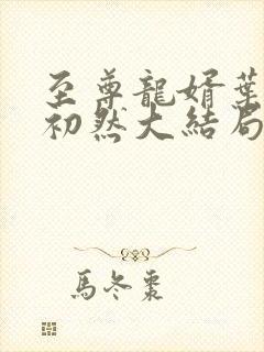 至尊龙婿叶辰萧初然大结局