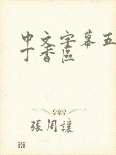 中文字幕五月天丁香区