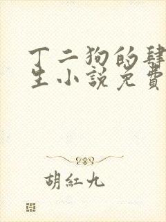 丁二狗的肆意人生小说免费有声