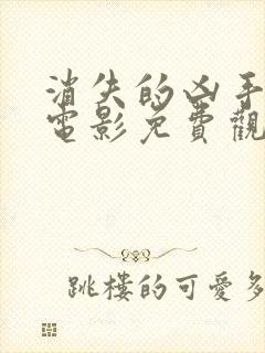 消失的凶手国语电影免费观看宣璐封面