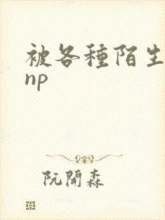 被各种陌生人 np