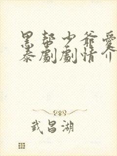 黑帮少爷爱上我泰剧剧情介绍