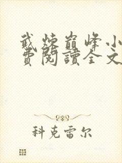 武炼巅峰小说免费阅读全文无窗口