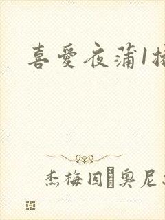 喜爱夜蒲1播放