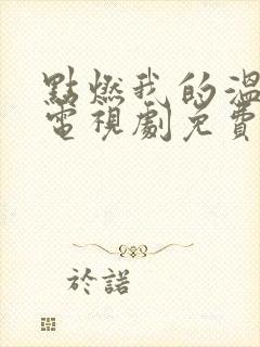 点燃我的温暖你电视剧免费观看高清