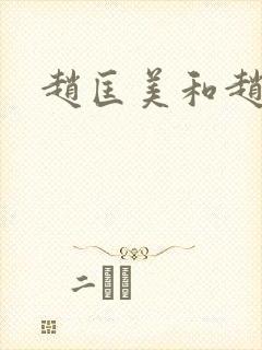 赵匡美和赵匡胤封面