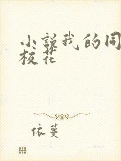 小说我的同桌是校花封面