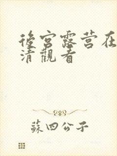 后宫露营在线高清观看